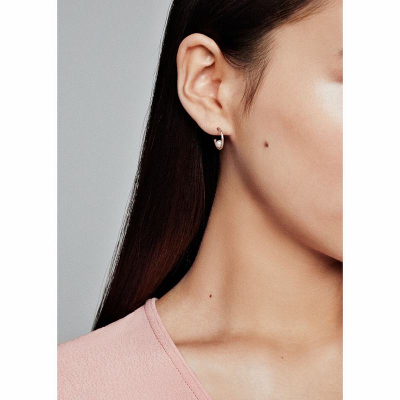 Pandora Rose™ Contemporary Pearls Hoop Earrings Egypt ZB1328705